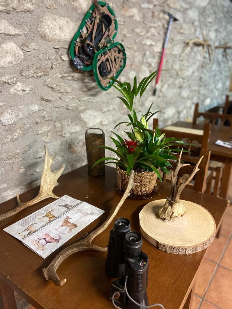 Refugi D' Alos Alos d'Isil Bagian luar foto